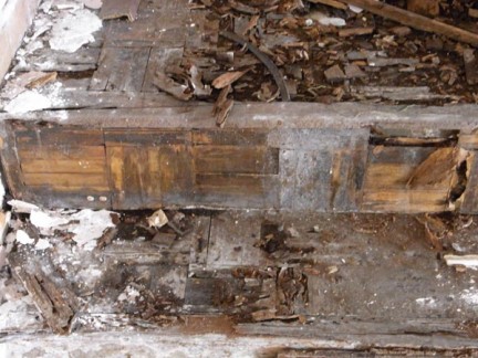 Termite damaged staircase
