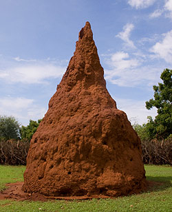 giant-termite-mound-africa