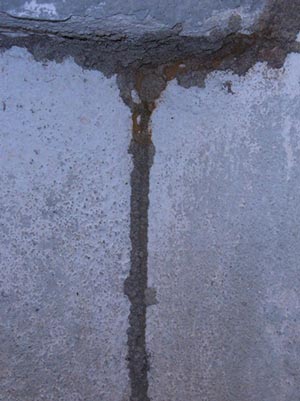 Typical termite mud tube