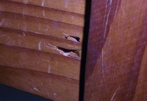 Drywood termite damage